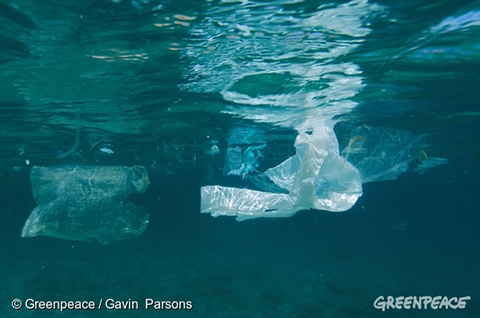 洋プラスチック問題:GreenpeaceのHPより