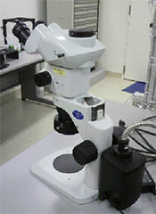 実体顕微鏡（オリンパスSZX7）
