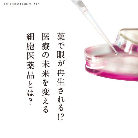 薬で眼が再生される！？医療の未来を変える細胞医薬品とは？