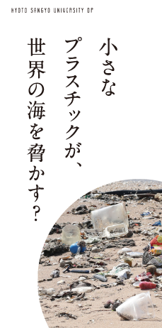 小さなプラスチックが、世界の海を脅かす？