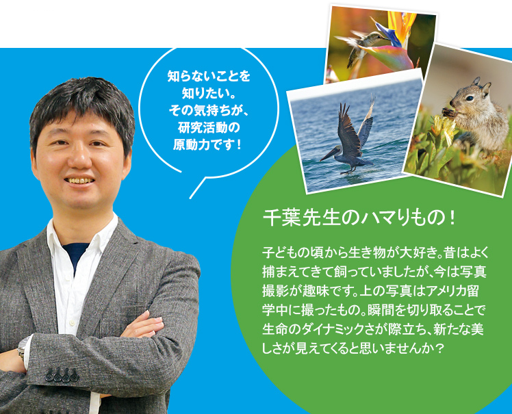 知らないことを知りたい。その気持ちが、研究活動の原動力です！千葉先生のハマりもの！子どもの頃から生き物が大好き。昔はよく捕まえてきて飼っていましたが、今は写真撮影が趣味です。上の写真はアメリカ留学中に撮ったもの。瞬間を切り取ることで生命のダイナミックさが際立ち、新たな美しさが見えてくると思いませんか？