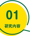 01 研究内容