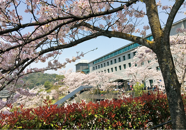 桜・12号館