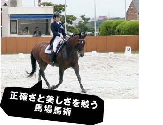 正確さと美しさを競う馬場馬術