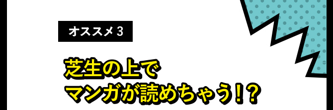 オススメ3 芝生の上でマンガが読めちゃう!?