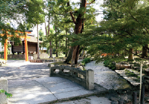 spot 1 賀茂別雷神社（上賀茂神社）