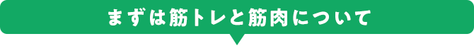 まずは筋トレと筋肉について