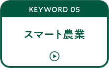 KEYWORD 05