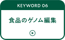 KEYWORD 06