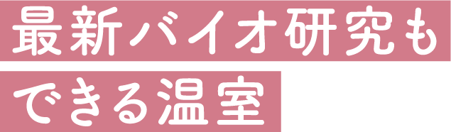 最新バイオ研究もできる温室