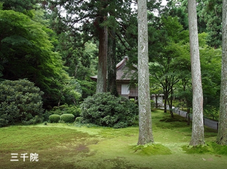 大原／三千院・勝林院・寂光院