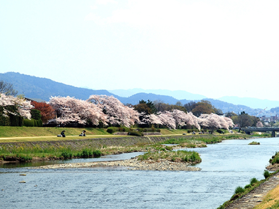 賀茂川