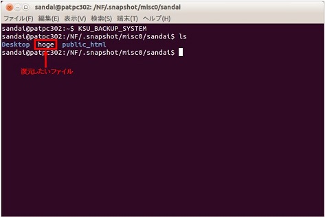 Linux̃f[^𕜌_2