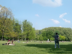片山 大輝さん