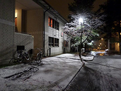 大学の寮の前の雪景色
