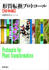 形質転換プロトコール【植物編】