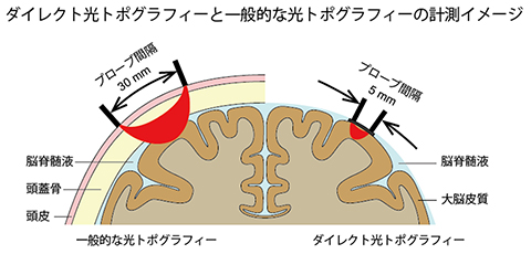 研究の概要図