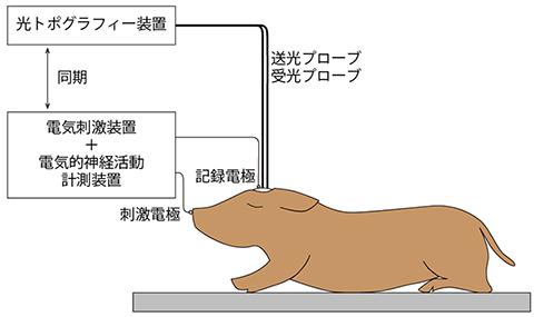 図3