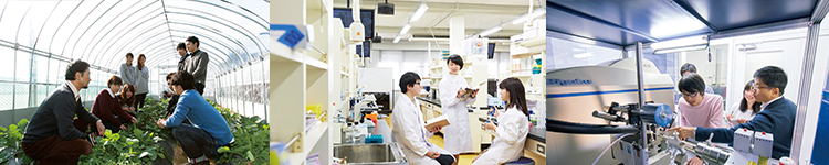 Faculty of Life Sciences
