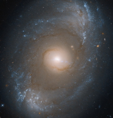 The galaxy NGC 4151 (the region of about 20,000 light years in diameter);
Credits: NASA, ESA, and J. DePasquale (STScI)