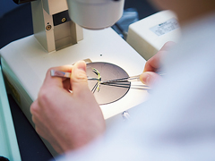 Research Institutes