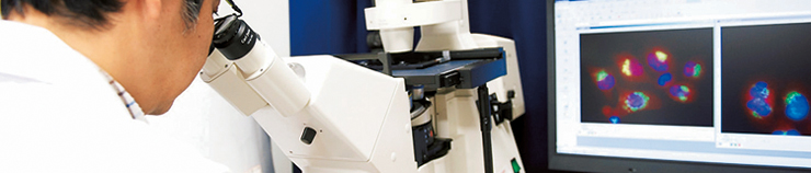 Research Institutes and Research Centers