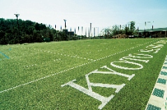 Koyama Stadium