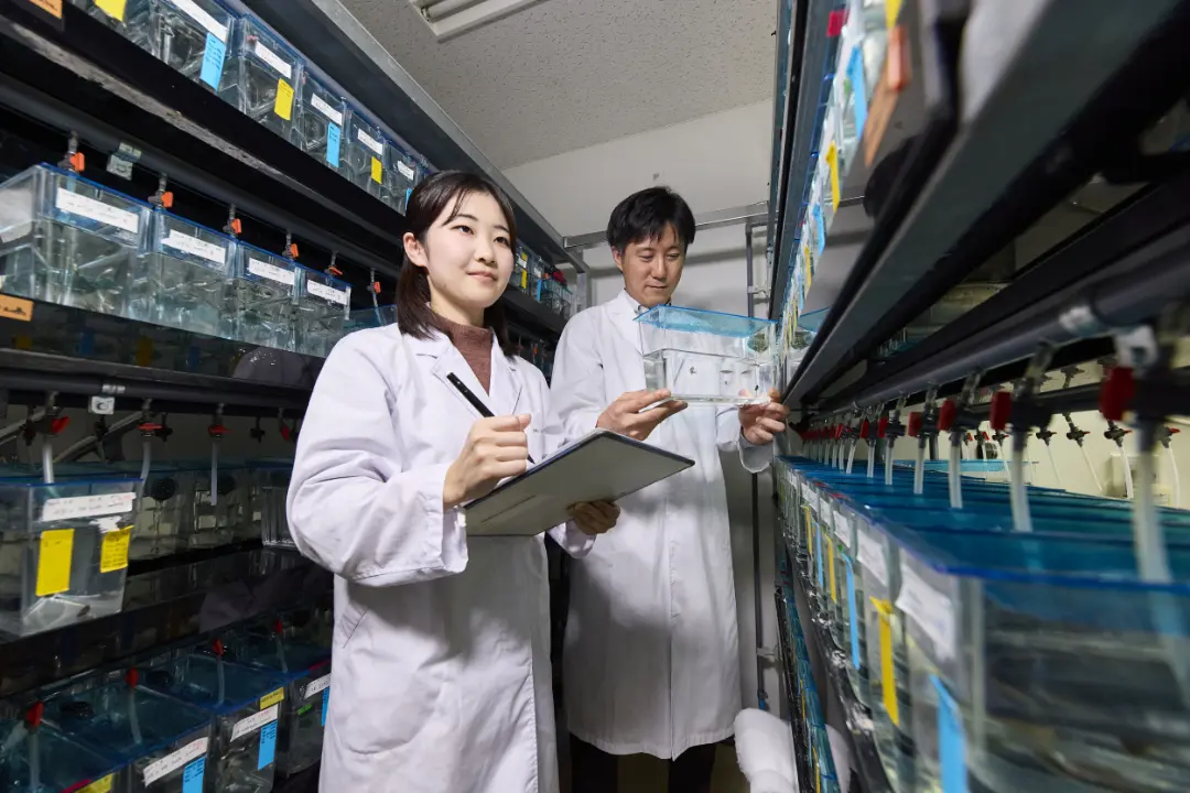 先端生命科学科