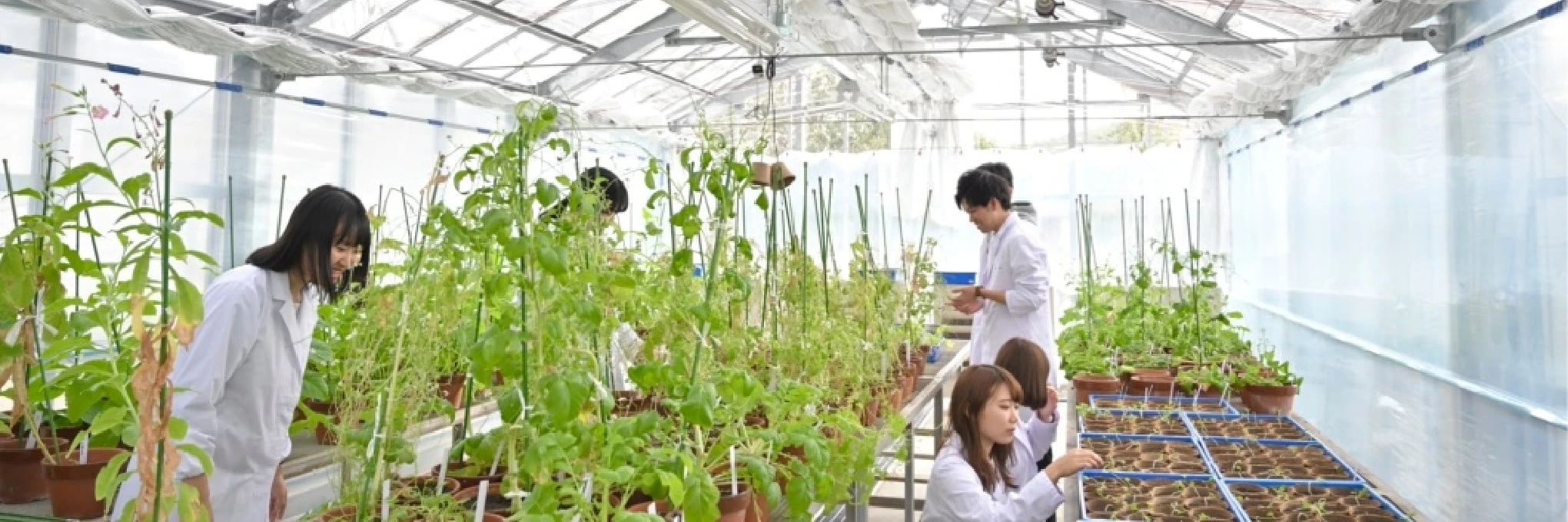 学部の特長