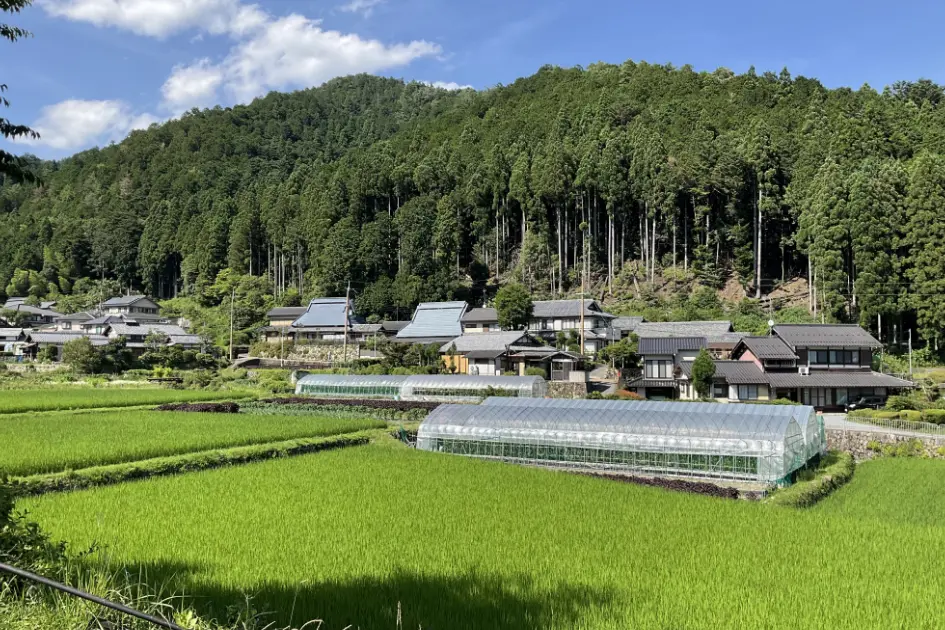 環境と社会コース