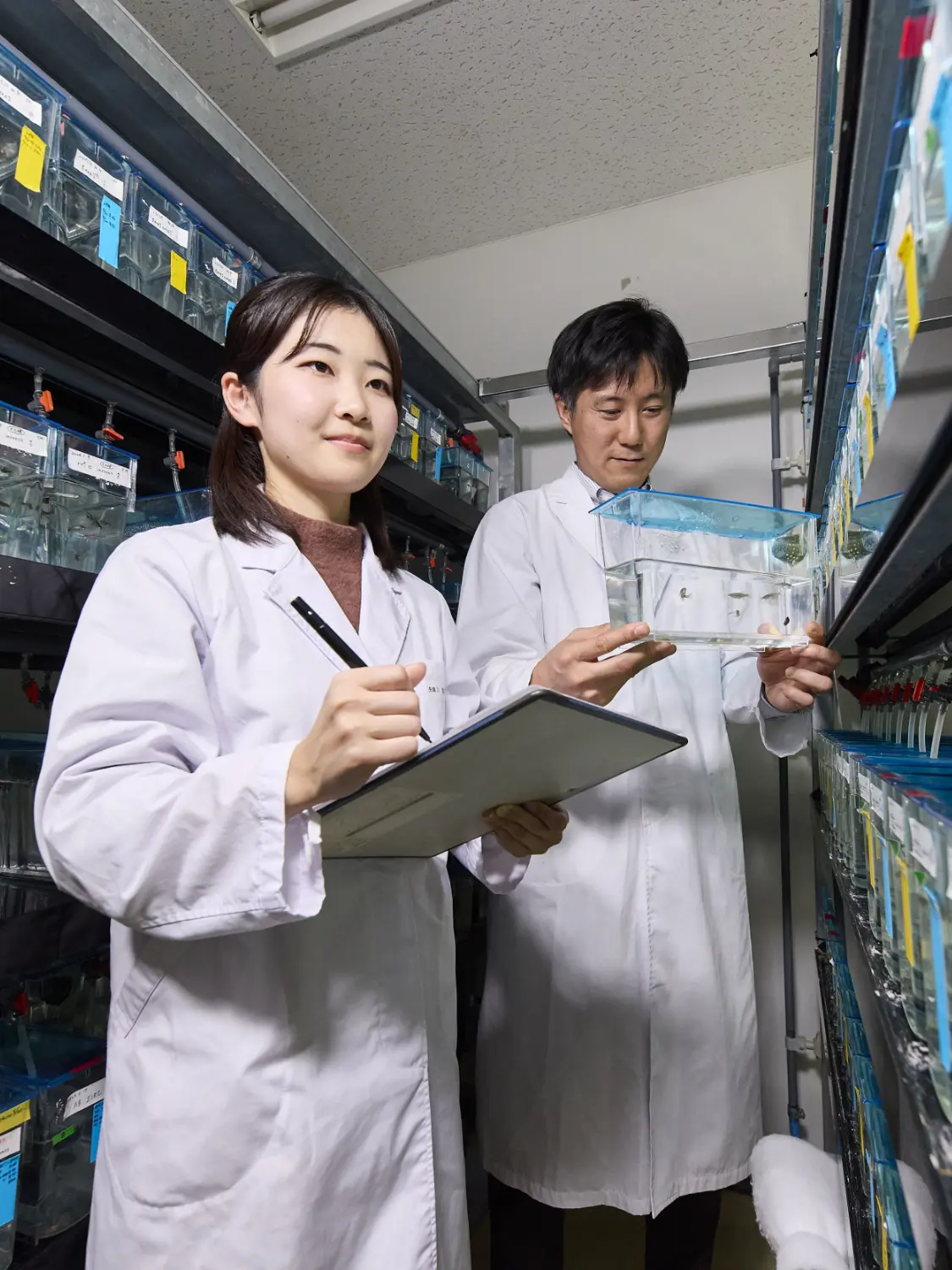 先端生命科学科