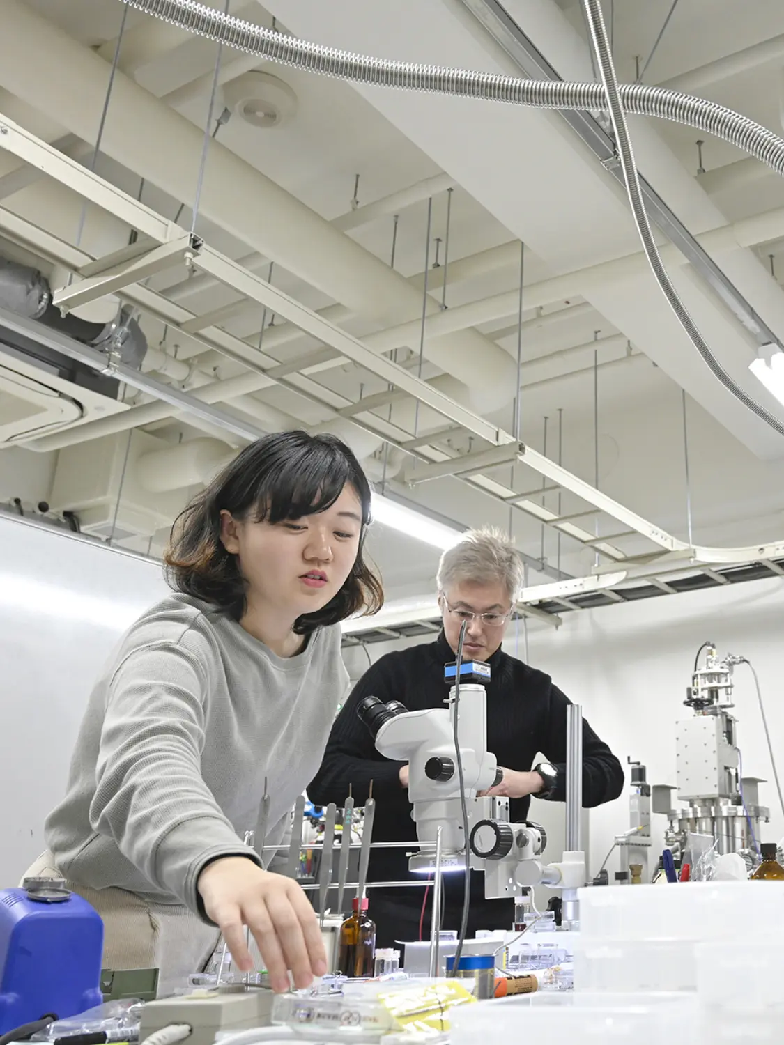 物理科学科