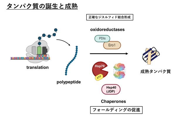 潮田 亮 京都産業大学