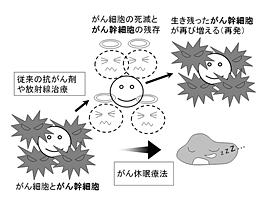 板野 直樹