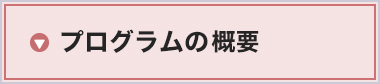 プログラムの特色
