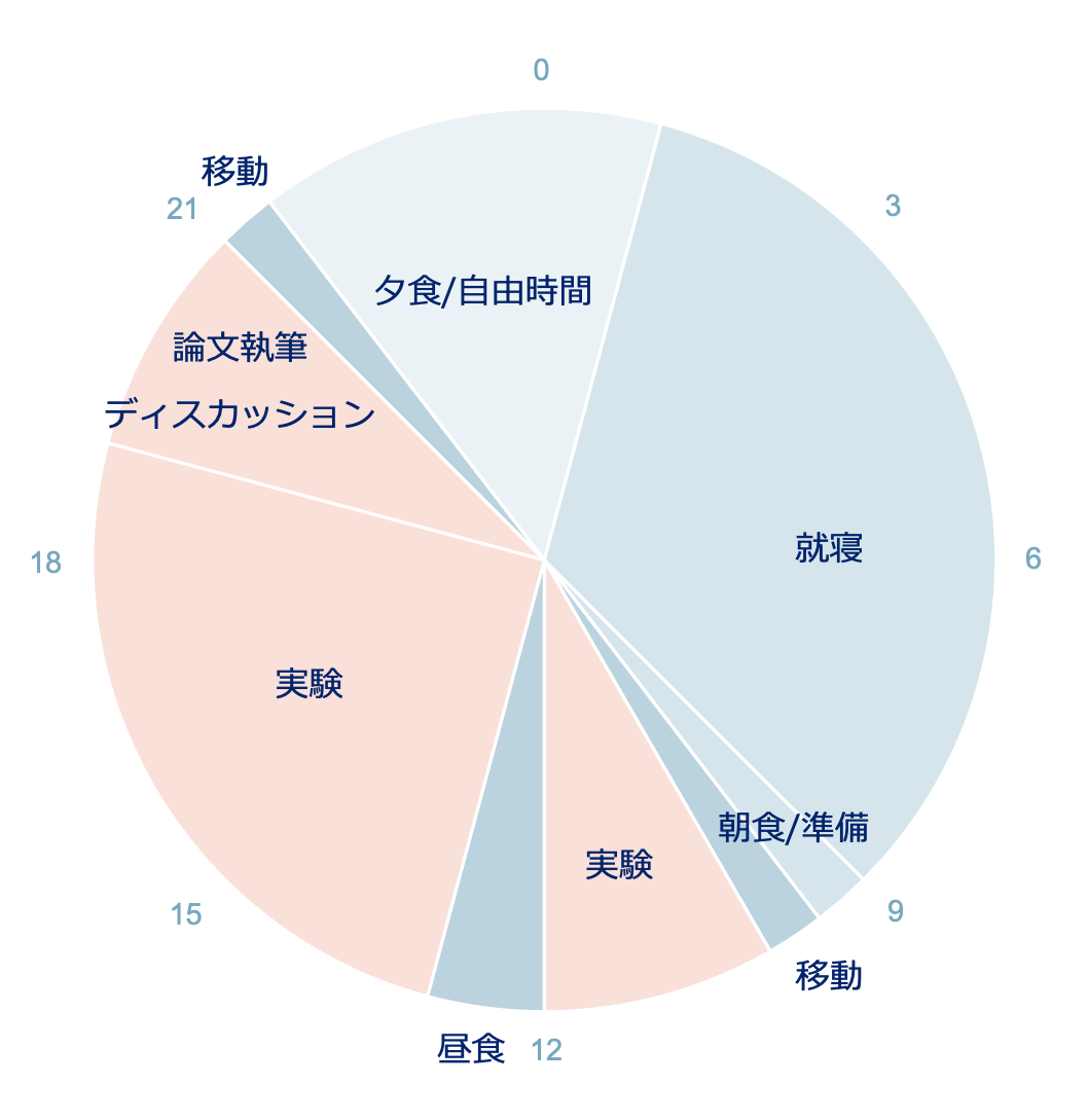 ある1日のスケジュール