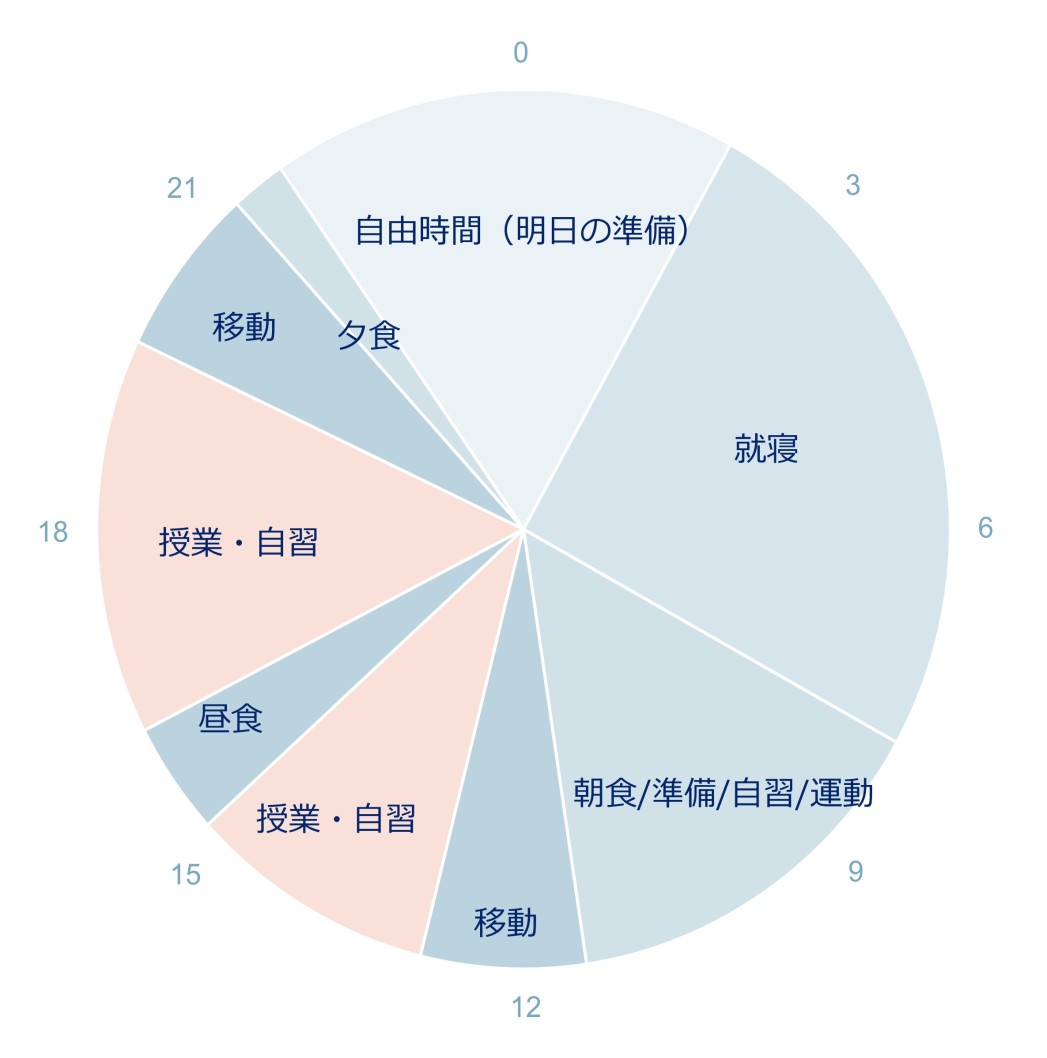 ある1日のスケジュール