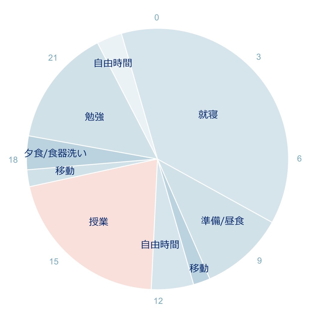 ある1日のスケジュール