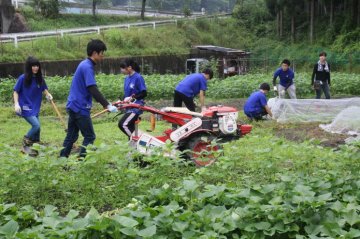 農作業に取り組む静原応援隊。