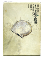 中野道雄