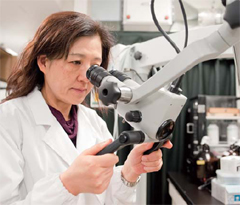総合生命科学部 動物生命医科学科 教授 加藤 啓子