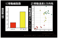「ジャングルハニー®」の好中球に対する走化活性