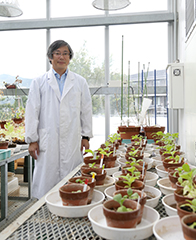 植物ゲノム科学研究センター 植物ゲノム科学研究センター