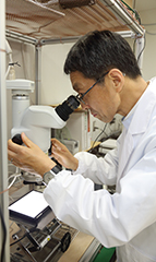 総合生命科学部 動物生命医科学科 齋藤 敏之 教授