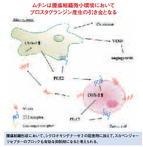 図01