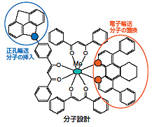 図01