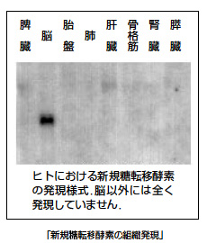 図01