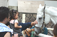 お馬とニコニコ