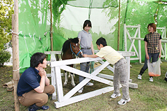 お馬とニコニコ