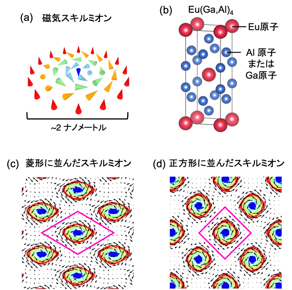 ナノサイズの「磁気の渦」の正体を解明― 次世代・超省電力メモリ実現へ新たな設計指針 ―